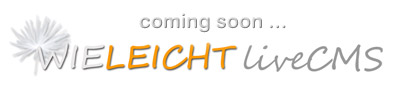 Internet Firmen Homepage